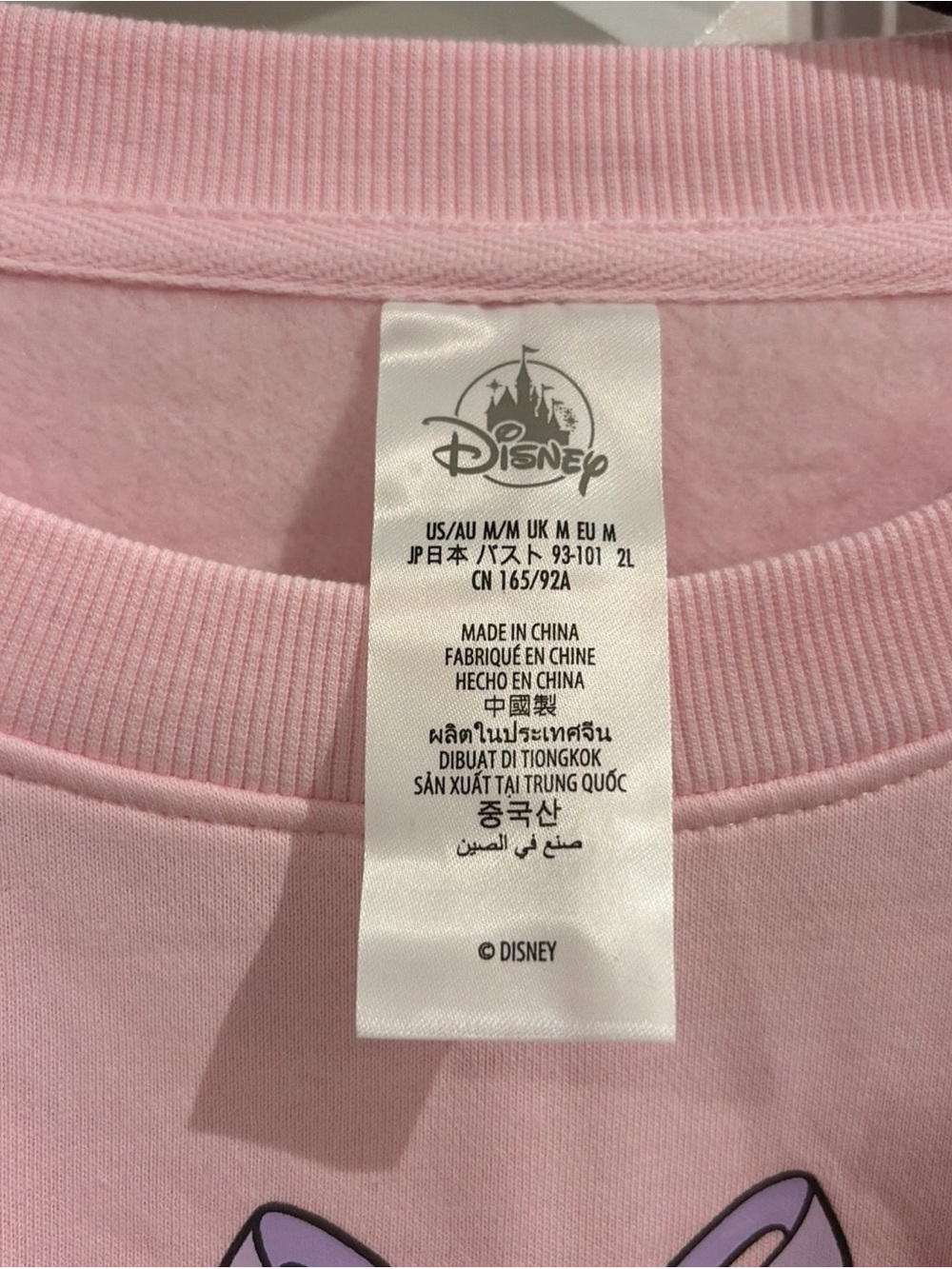 Disney Parks 2026 WDW Castle Sweatshirt Embroidered Size Medium New - Picture 3 of 7